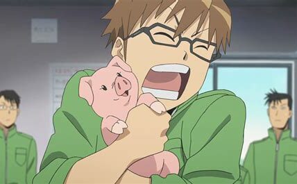 Catholic Farmer Loses Most of His Business After Criticizing Anal Month on Instagram