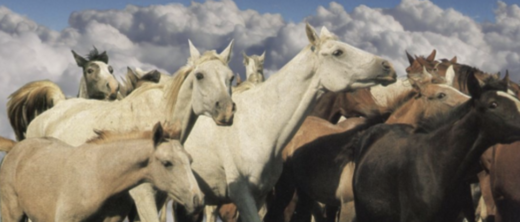 Podcast Celebration of Ten Years of Storming Daily