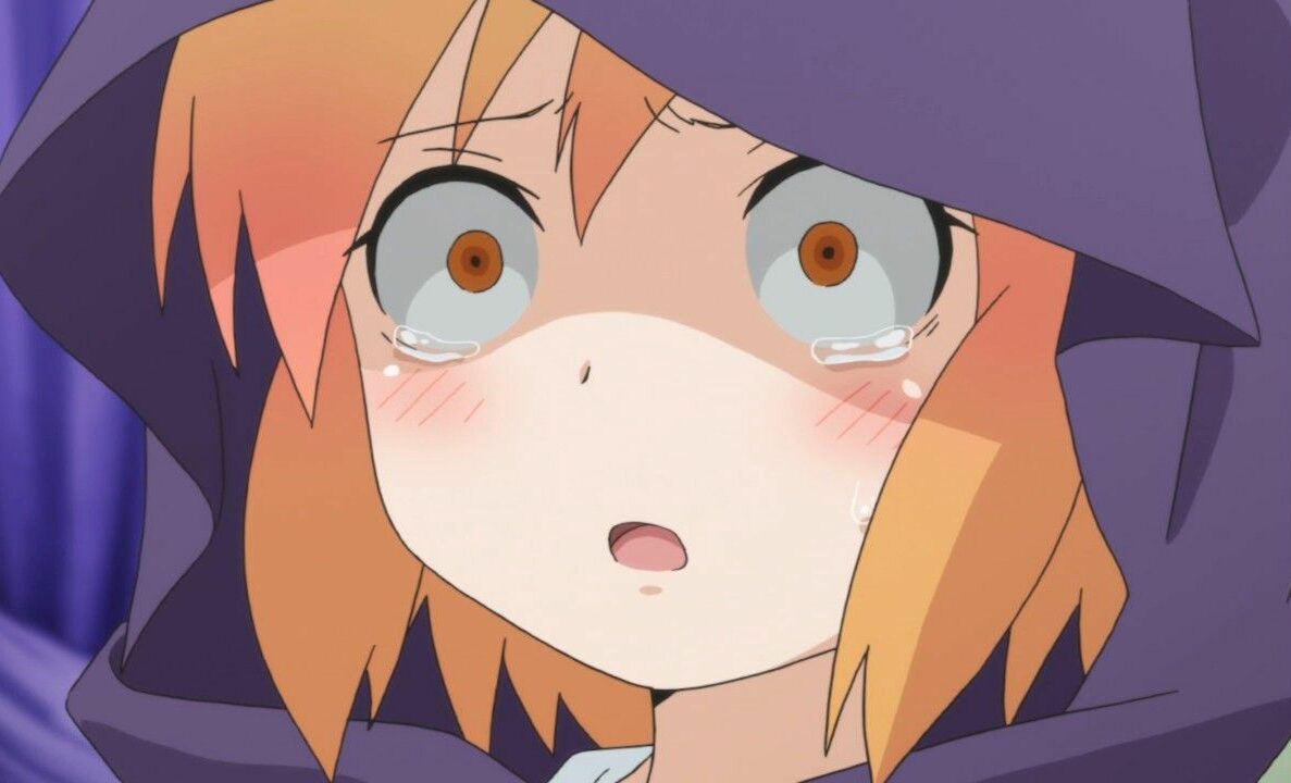 France: It is Terrorism for Whites to Think the Government Should Stop Terrorism