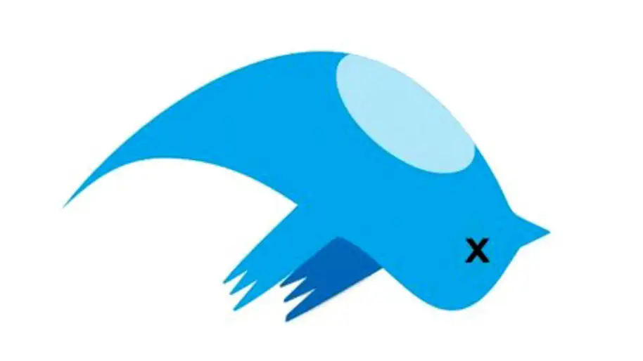 Elon Killing Twitter Bird Logo, Name