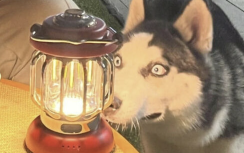 Midweek Meme Mania: I Really Don’t Have Anything Else Going on Today