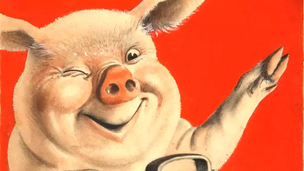 The Science Keeps Putting Pig Organs Inside People