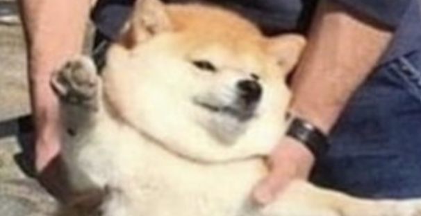 Mid-Week Memes: More ADL Crap, Basically Fresh