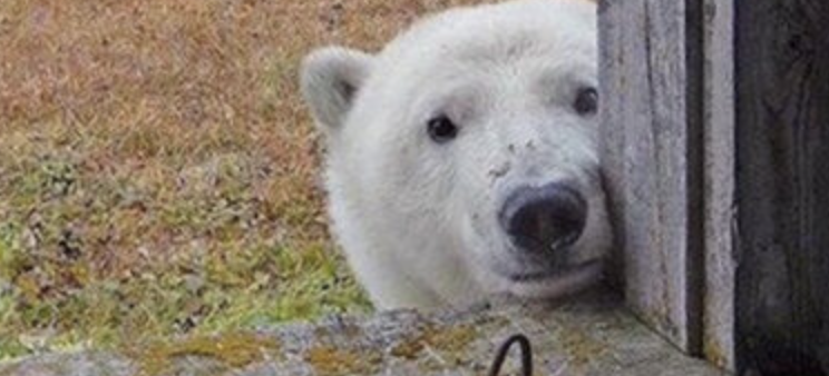 Mid-Week Meme Mania: Meh. It is What It Is.