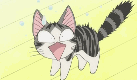 The Science Says All Dogs and Cats Must Go Vegan to Change the Weather