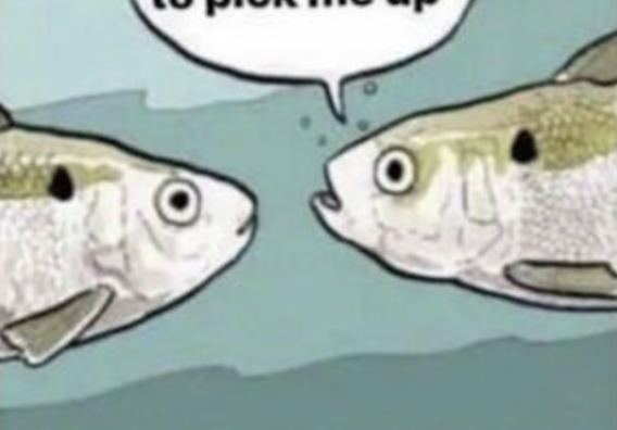 Memetic Monday: Yeah, It’s 6 PM. I Took a Nap. Sometimes Adults Do That.