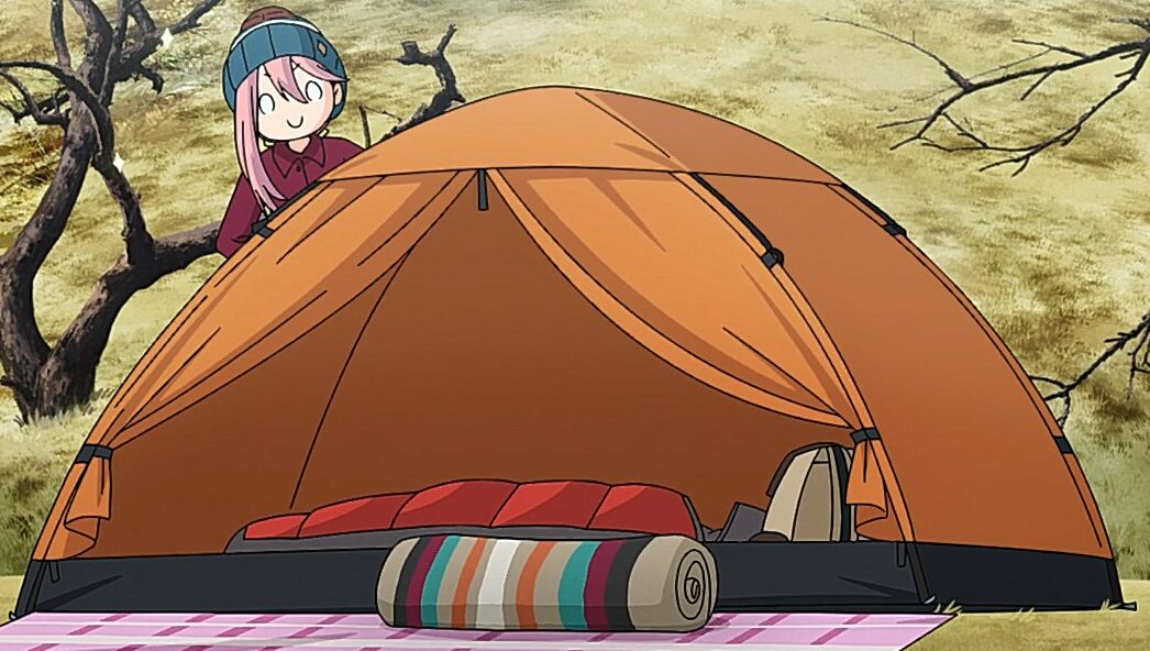 Ireland: Government Gives Invaders Tents After Running Out of Places to House Them