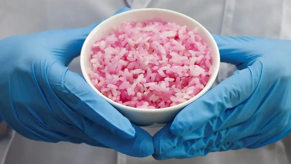 South Korean Scientists Make Beef and Rice Hybrid