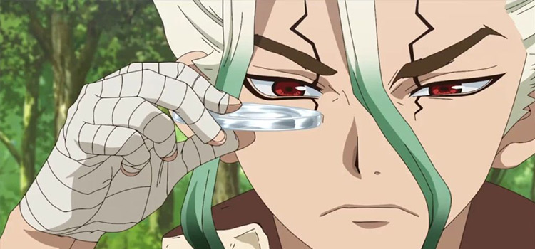 Seattle’s Public School District Cracks Down on Gifted Program Because Blacks are Dumb