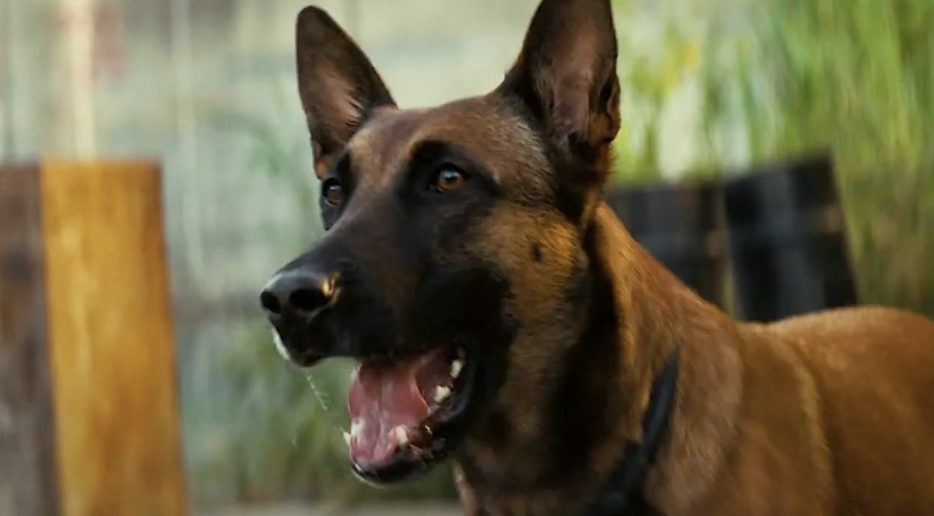 Memetic Monday: I’ll Write About the War Tomorrow. Jeez.