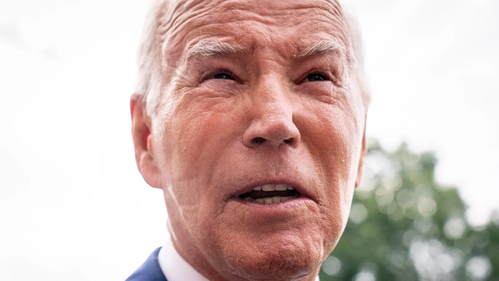 Brandon Calls ICC Arrest Warrant for Bibi “Outrageous,” Confirms Eternal Allegiance to Baby-Killing Jews