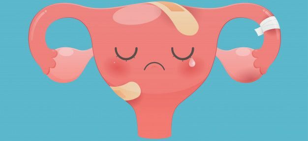 Canadian Cancer Society Apologizes for Saying “Cervix” Instead of “Front Hole”