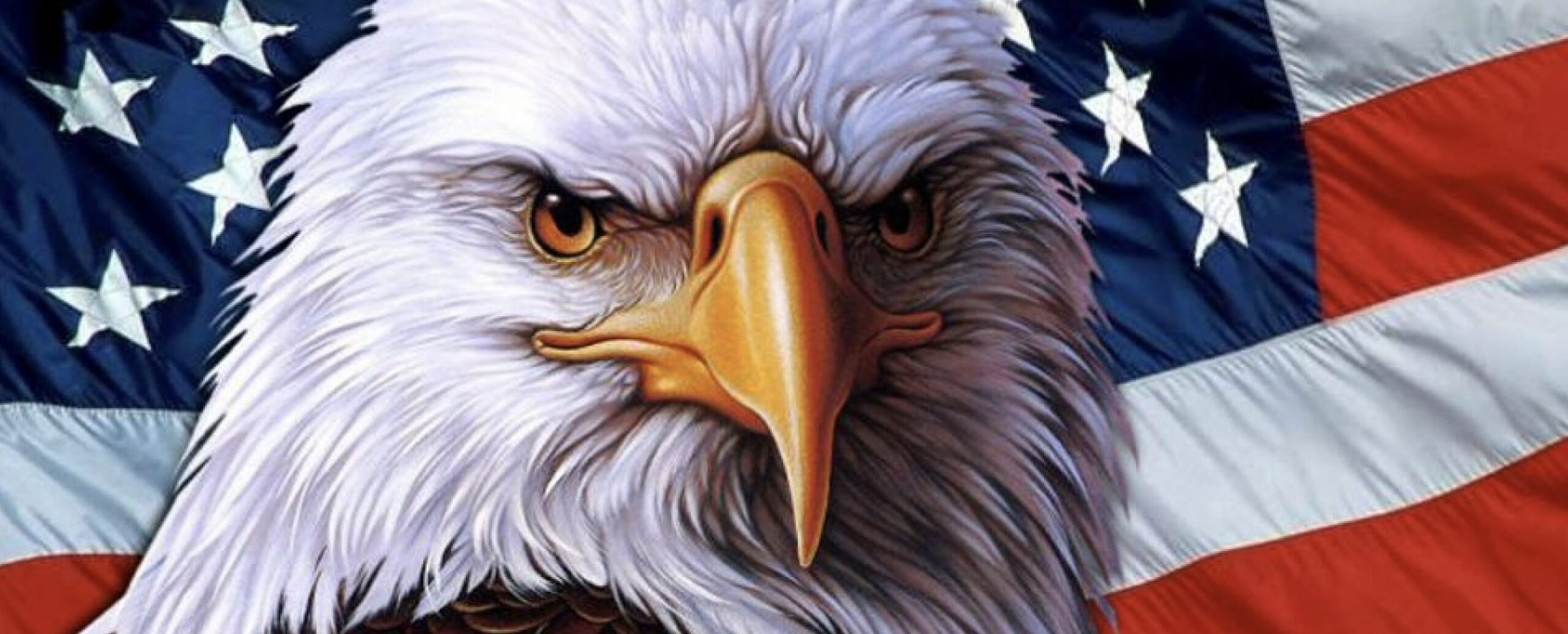 Happy Independence Day! (And Stormer Anniversary!)