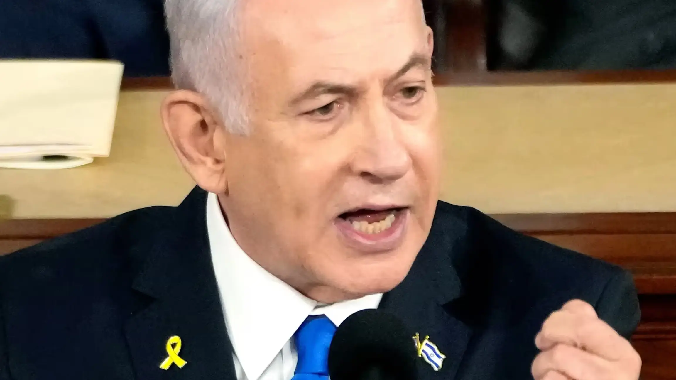 US Congress: Bibi Blathers About Burned Babies, Doubles Down on Endless War, Gets 55 Standing Ovations