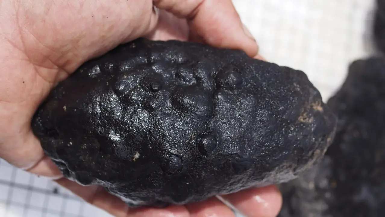 Scientists Rethinking Origin of Life After Discovering Potato-Shaped Metallic Lumps Produce Oxygen