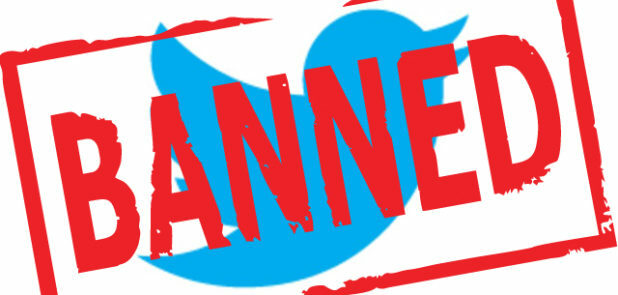 MEP Threatens to Shut Down Twitter in Europe If Musk Doesn’t Do More Censorship