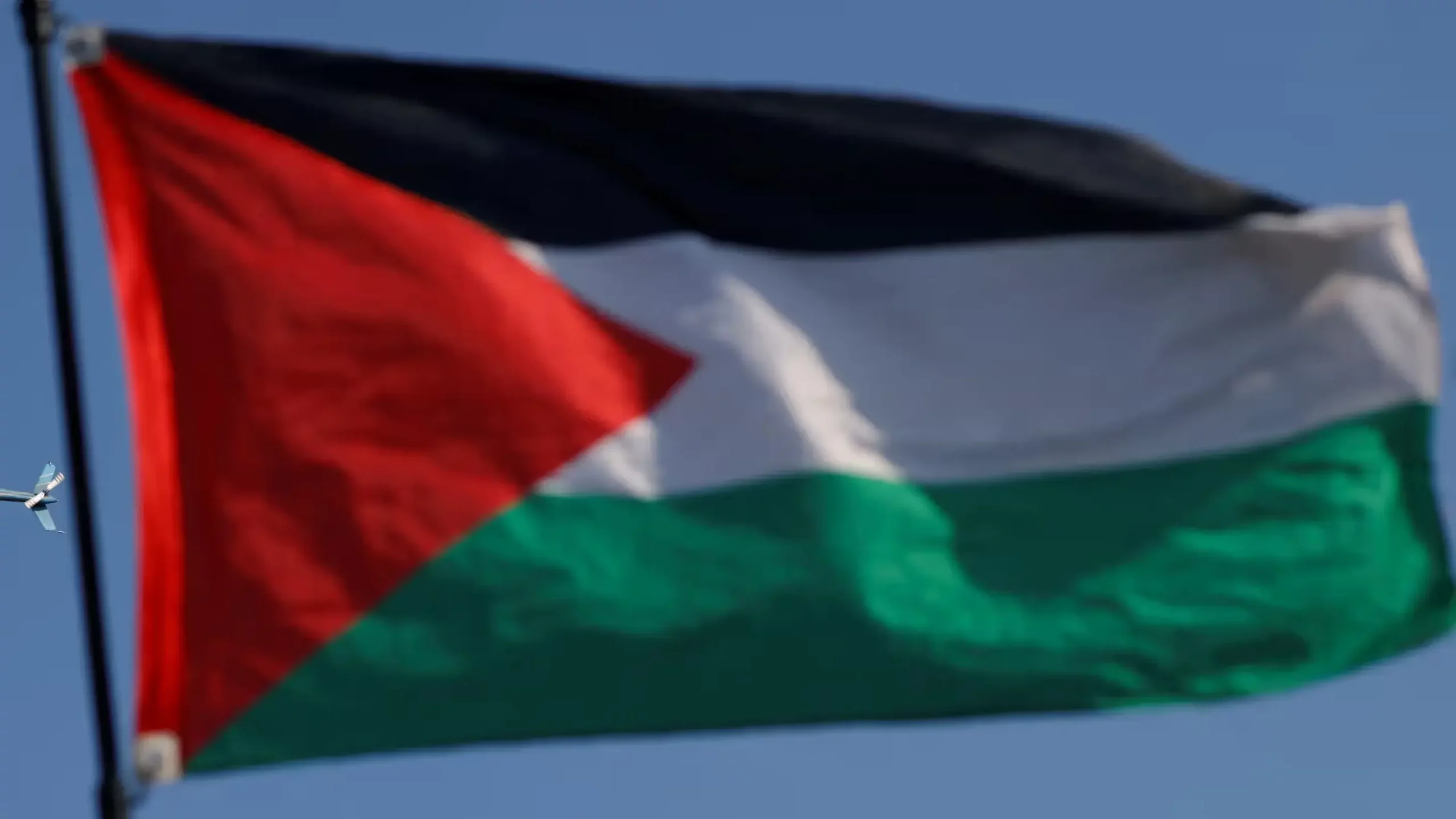 DNC: Pediatric Doctor Describes Horrors She Witnessed in Gaza