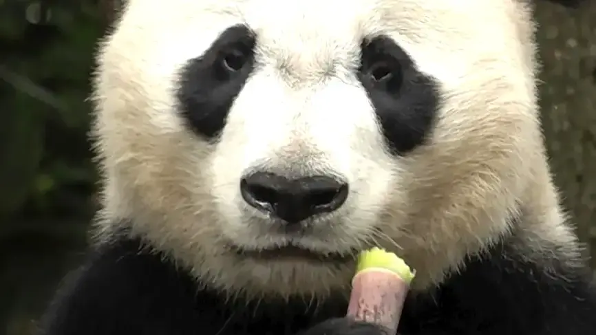 US Raises Concerns After China Announces End to Foreign Adoptions