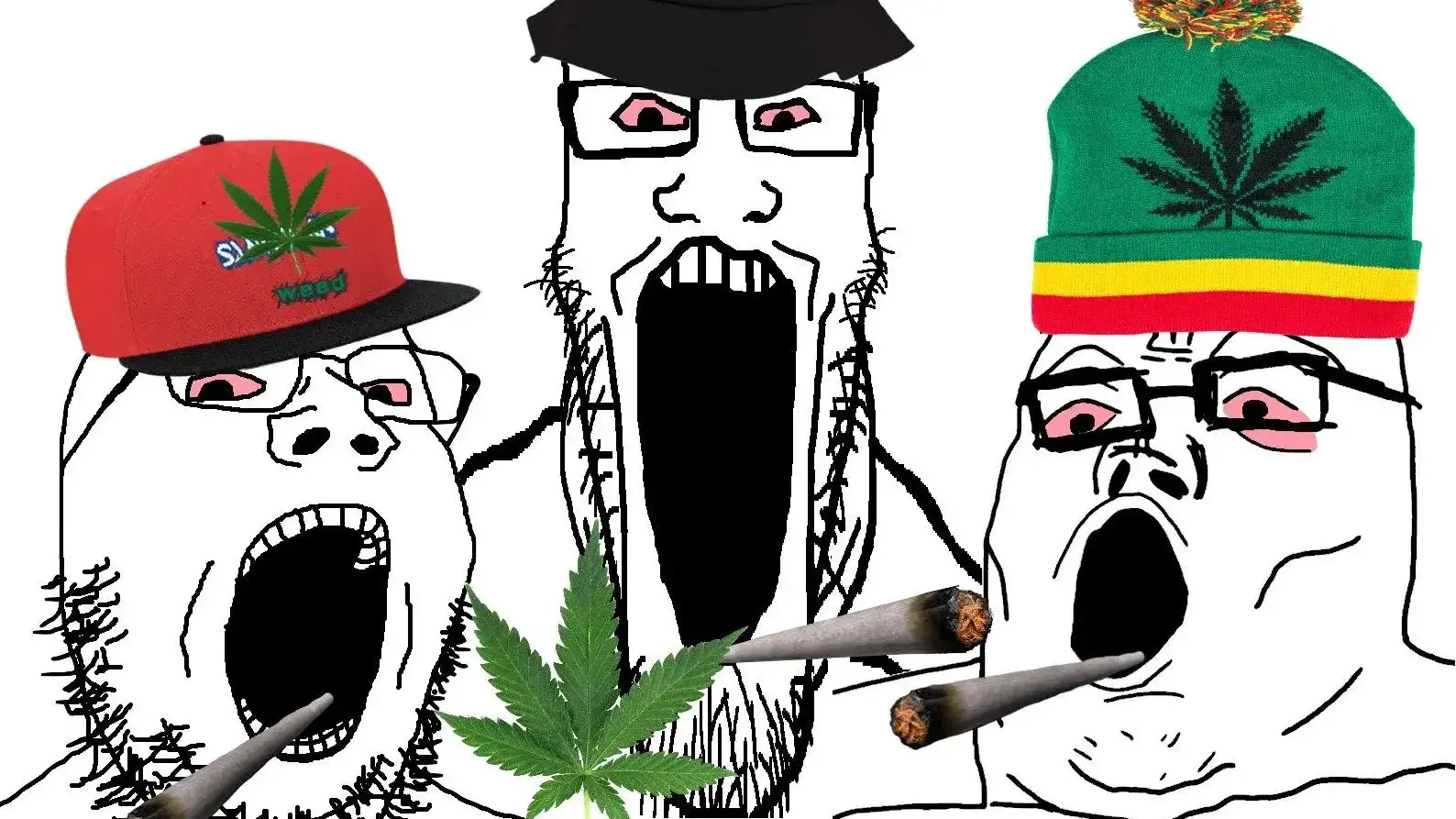 Recent Supreme Court Decision Protects Cannabis Products Against Federal Regulatory Agencies