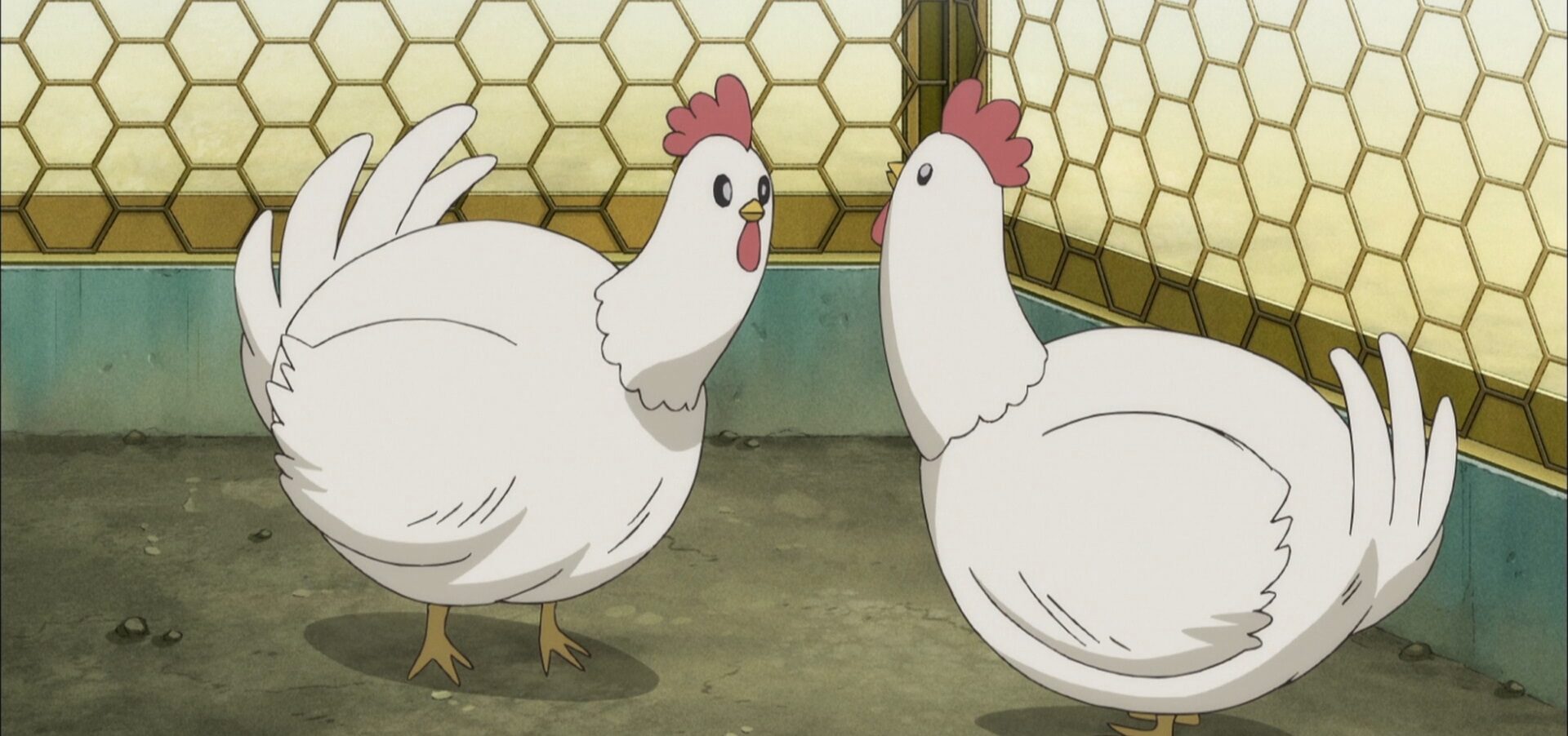 UK: Government Tells People to Register All Their Chickens or Go to Jail