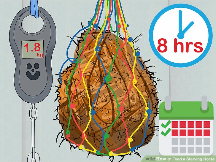 When You’re Headed Into Day 5 of a Complete Fast, You Start Wondering: “How Far Can I Push This?”