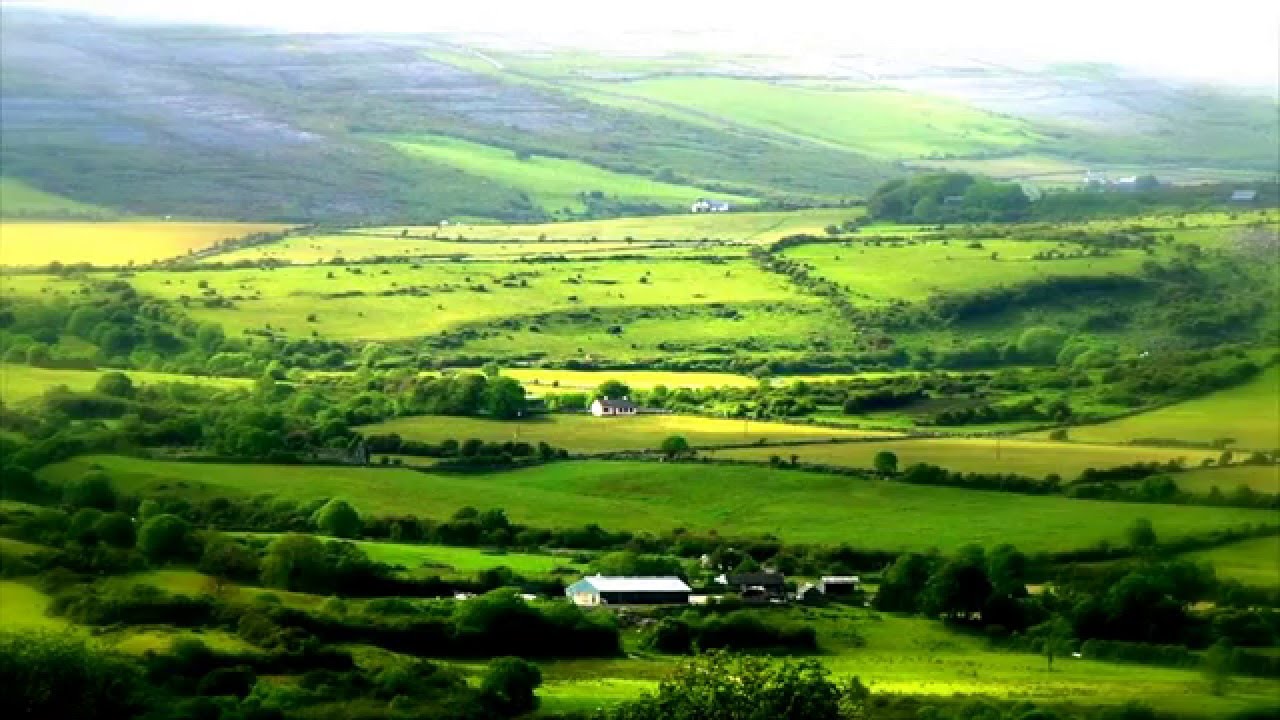 Frankly, I’d be Fine If ICE Deported Me to Ireland